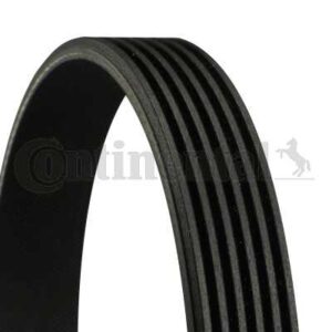 CORREIA 6PK2020