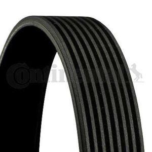 CORREIA 8PK2585