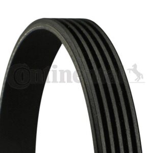 CORREIA 5PK1765