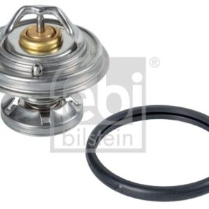 TERMOSTATO OM601
