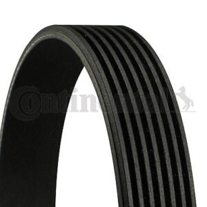 CORREIA 7PK2418