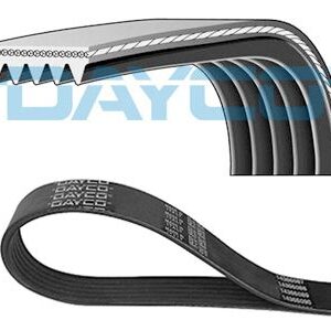 CORREIA 5PK1745