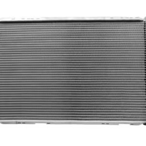 RADIADOR AGUA W202