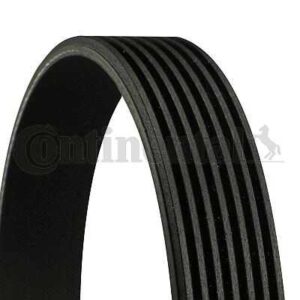 CORREIA 7PK2035