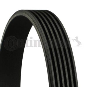 CORREIA 6PK1125