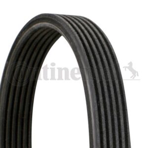 CORREIA 6DPK2215