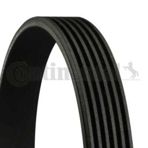 CORREIA 6PK2264